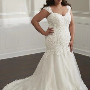 Gorgeous Christina Wu Wedding Gown Plus Size